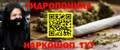 дмт Дубна