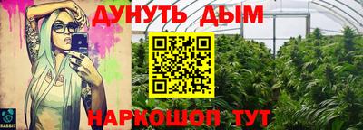 дмт Дубна