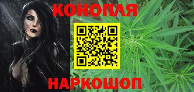 стаф Донецк