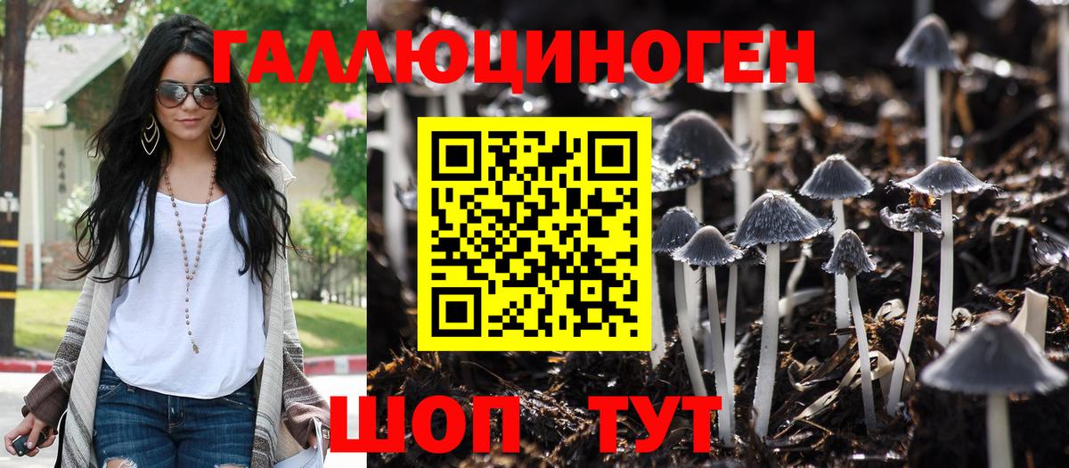 Псилоцибиновые грибы прущие грибы Таганрог