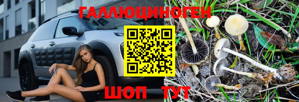 Галлюциногенные грибы мухоморы Таганрог