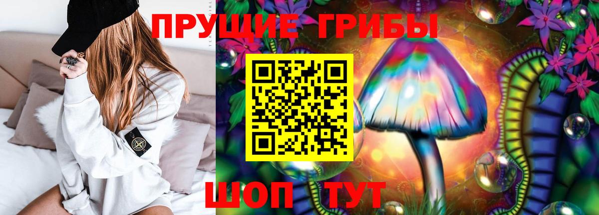 Галлюциногенные грибы Psilocybe  Галлюциногенные грибы MAGIC MUSHROOMS  Таганрог 